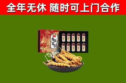 安源区回收冬虫夏草价格