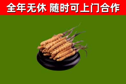 安源区烟酒回收冬虫夏草.jpg